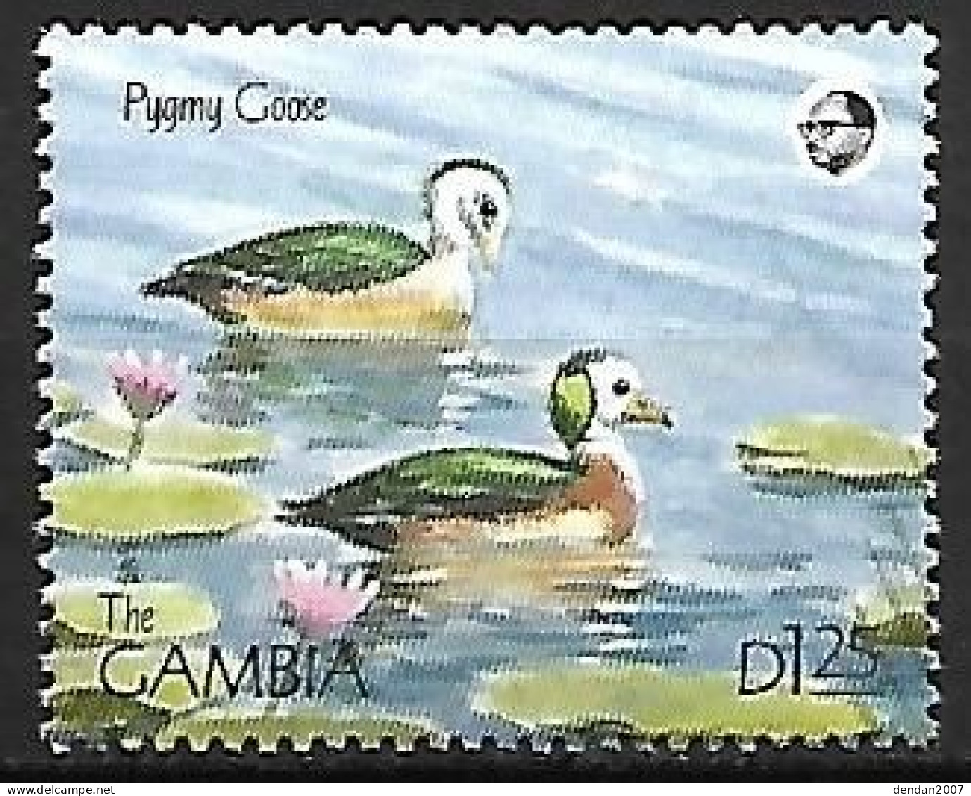 Gambia - MNH ** 1991 :  African Pygmy Goose  -  Nettapus Auritus - Gänsevögel