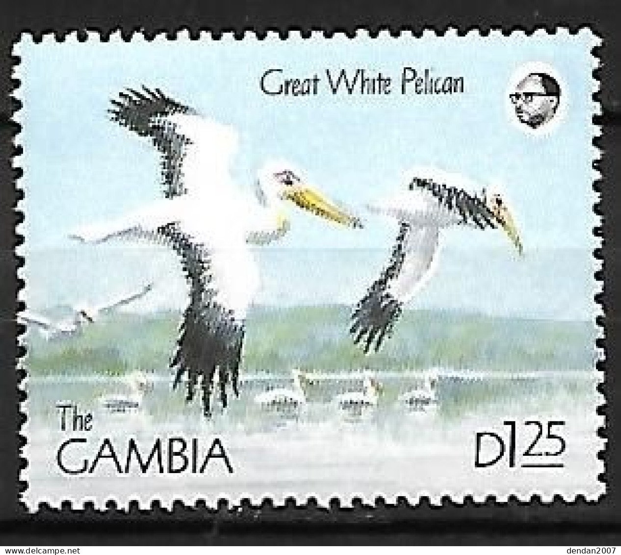 Gambia - MNH ** 1991 :  Great White Pelican -   Pelecanus Onocrotalus - Pelikane