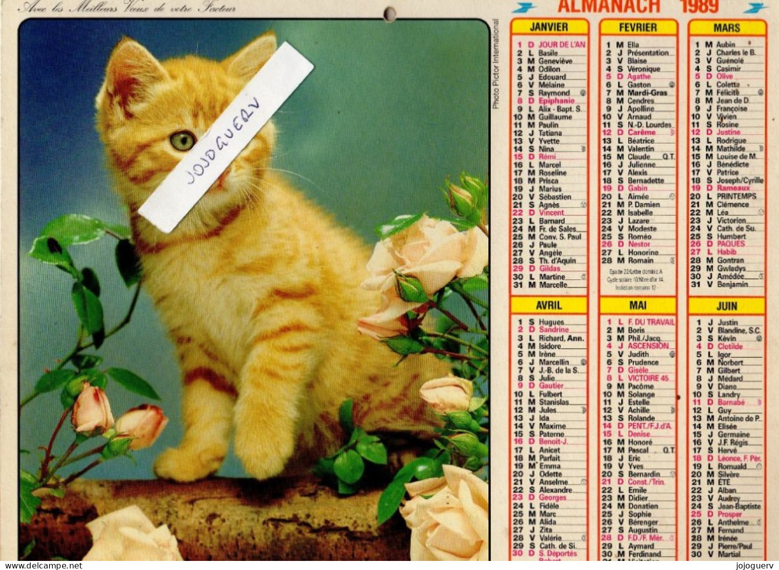 Almanach Calendrier 1989 (chaton , Chiot , Cartes De Cambrai Lille Roubaix Tourcoing Valenciennes Douai Dunkerque Denain - Grand Format : 1981-90