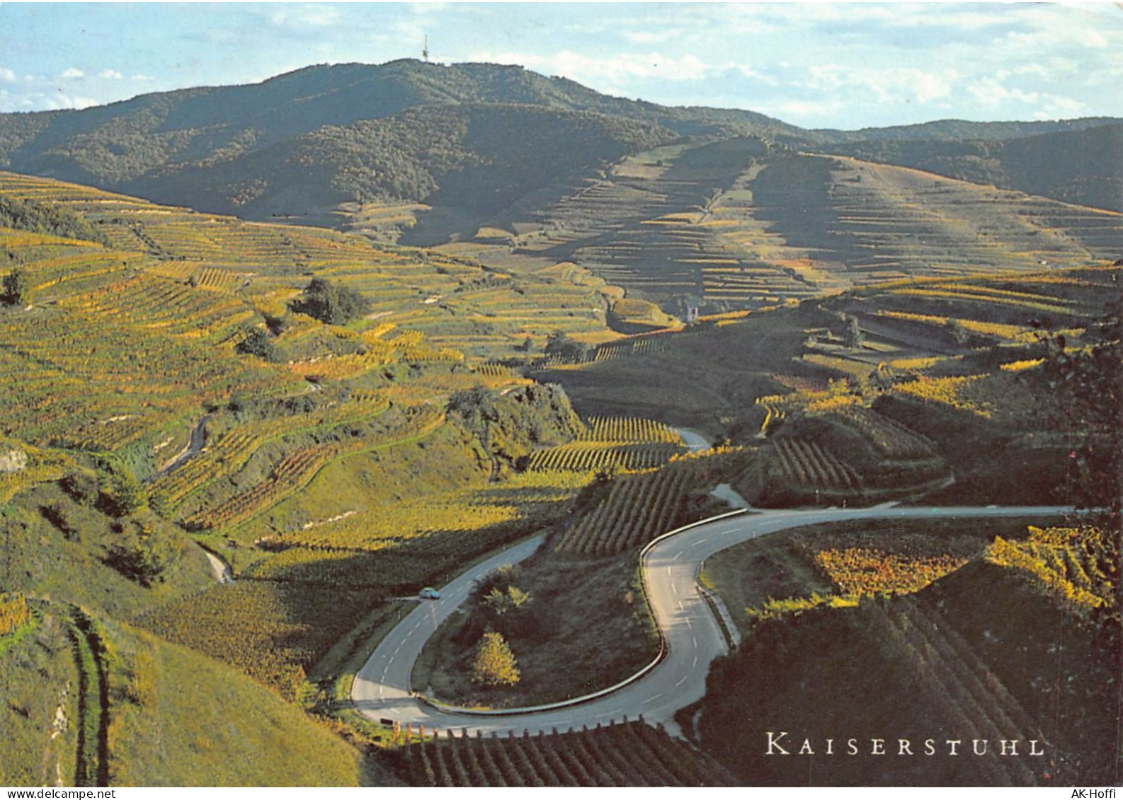 AM KAISERSTUHL Weinparadies Am Oberrhein (294) - Kaiserstuhl