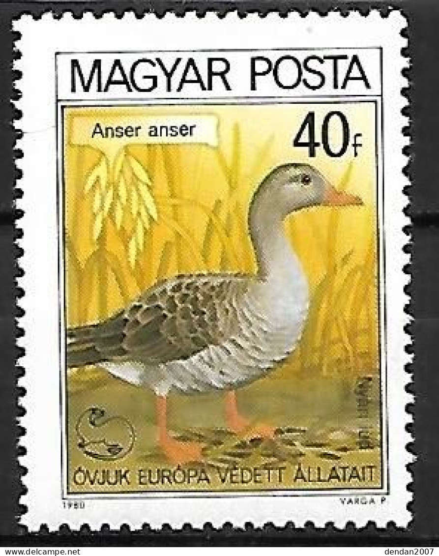 Hungary (Magyar) - MNH **  Greylag Goose -   Anser Anser - Gänsevögel