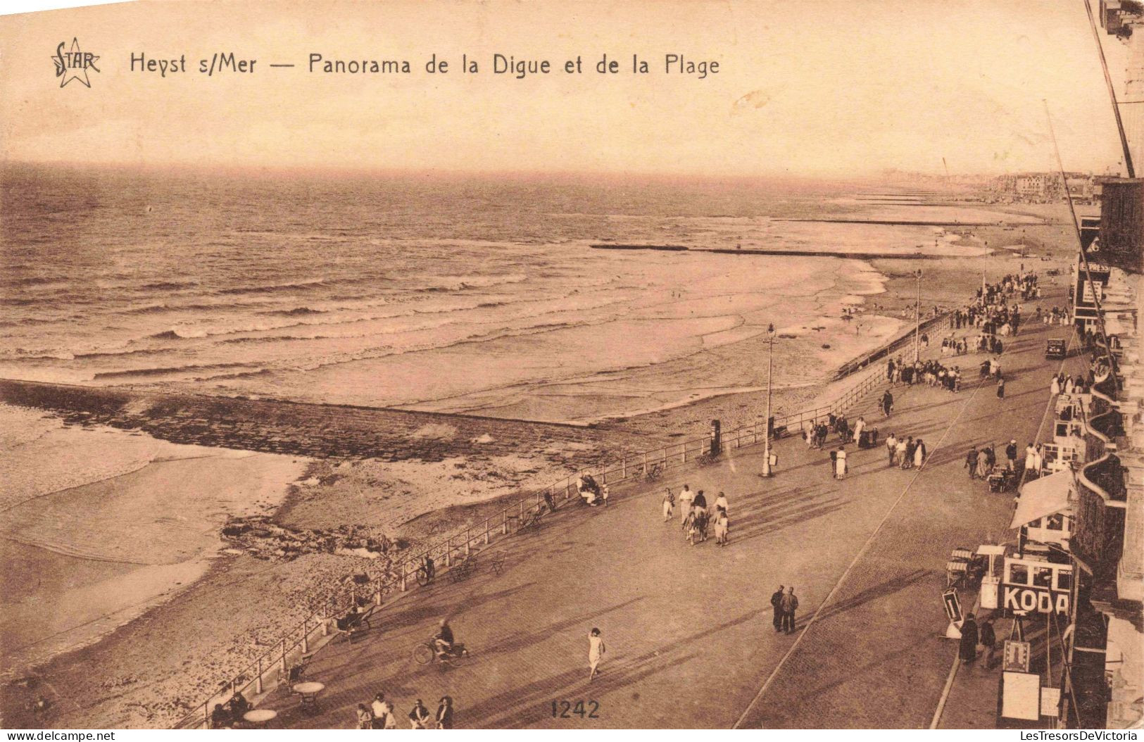 BELGIQUE - Heist Sur Mer - Panorama De La Digue Et De La Plage - Carte Postale Ancienne - Heist