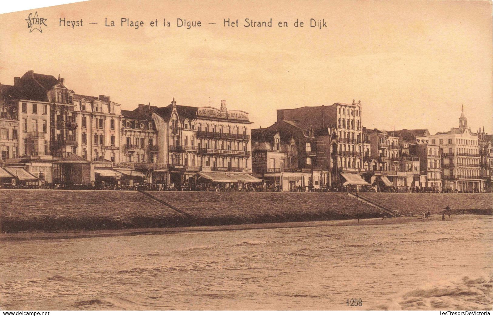 BELGIQUE - Heist Sur Mer - La Plage Et La Digue - Carte Postale Ancienne - Heist