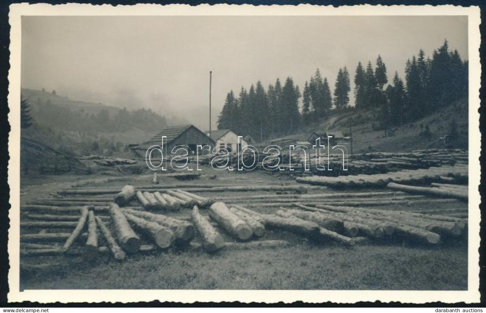 Cca 1940 Romoly (Romuli), Erdély, Fűrésztelep, A Hátoldalon Feliratozott Fotó, 13,5x8,5 Cm - Otros & Sin Clasificación