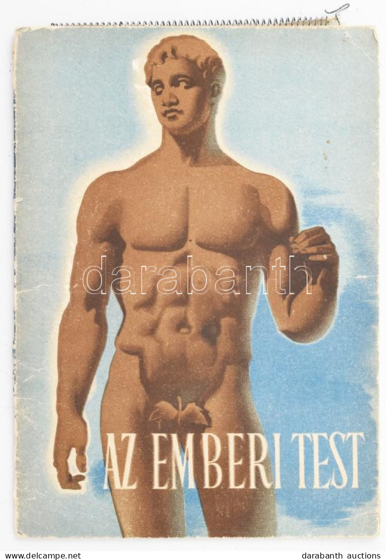 Cca 1940 Az Emberi Test, Bayer Gyógyszergyár Képes Ismertető Prospektus, Kissé Viseltes állapotban, 16x11 Cm - Publicités