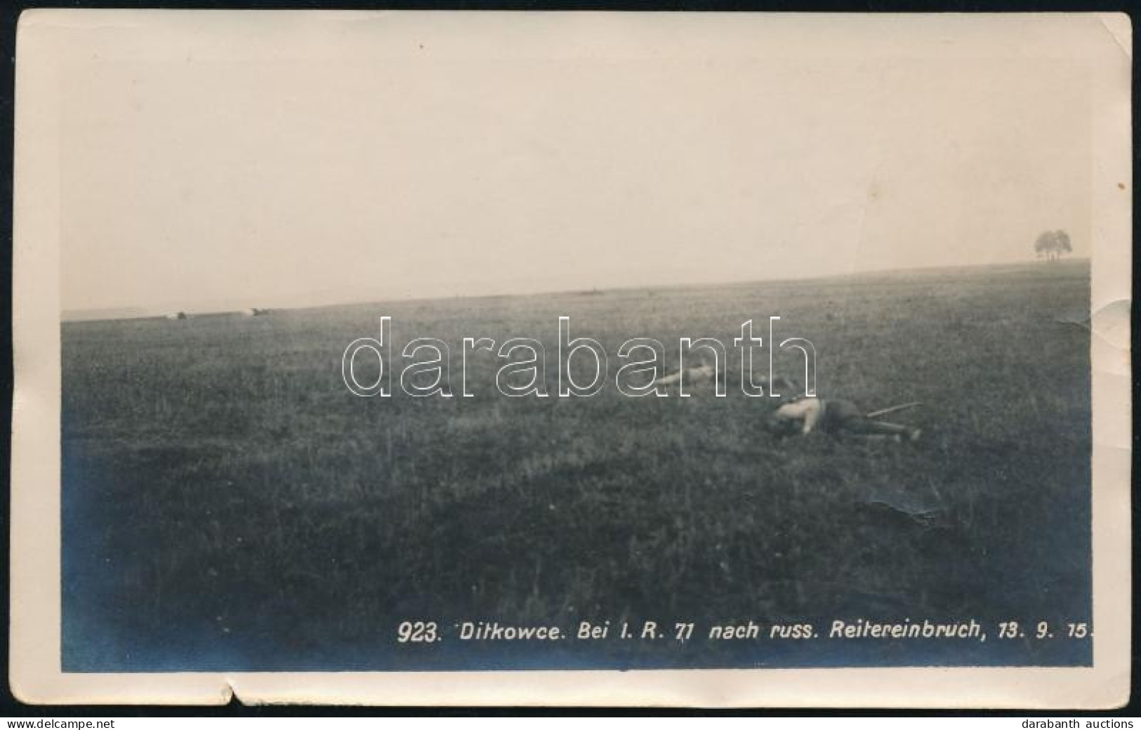 1915 A Cs. és Kir. 71. Gyalogezred Halottjai Egy Orosz Lovassági Roham Után A Keleti Fronton, Ditkowce (Ditkivtsi, Ukraj - Sonstige & Ohne Zuordnung