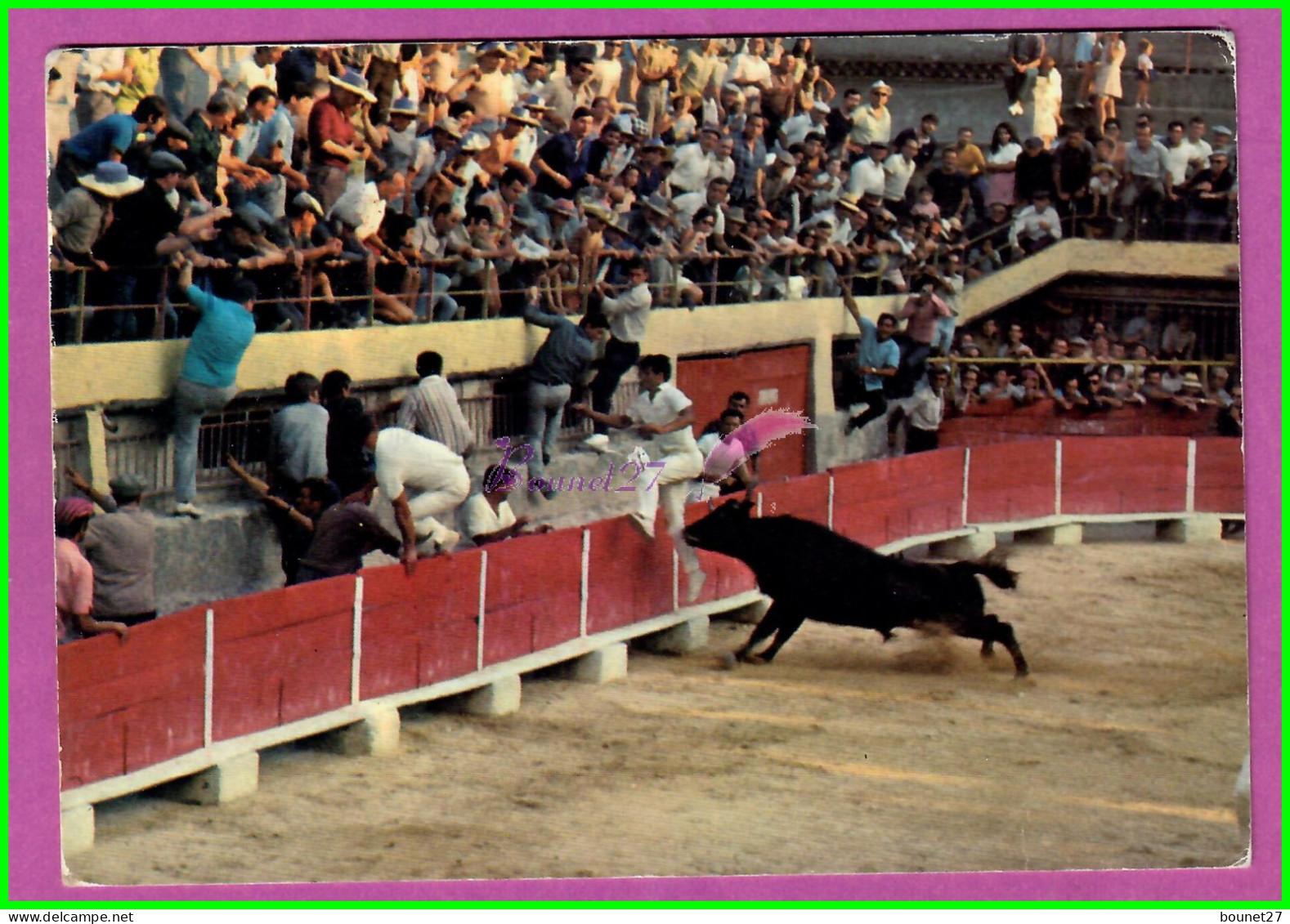 CPM Course Provençale Aux Arénes Un Taureau Noir Bull Voyagé 1978 - Taureaux