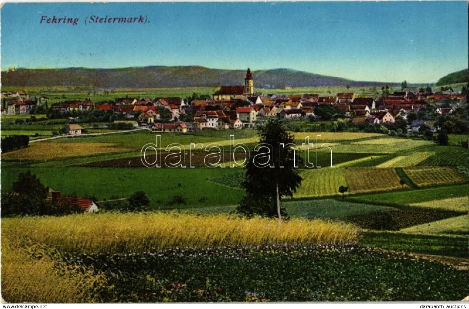 T2 1917 Fehring (Steiermark), Verlag Jos. A. Kienreich. Phot. D. Kunstverslag S. Frank - Sin Clasificación