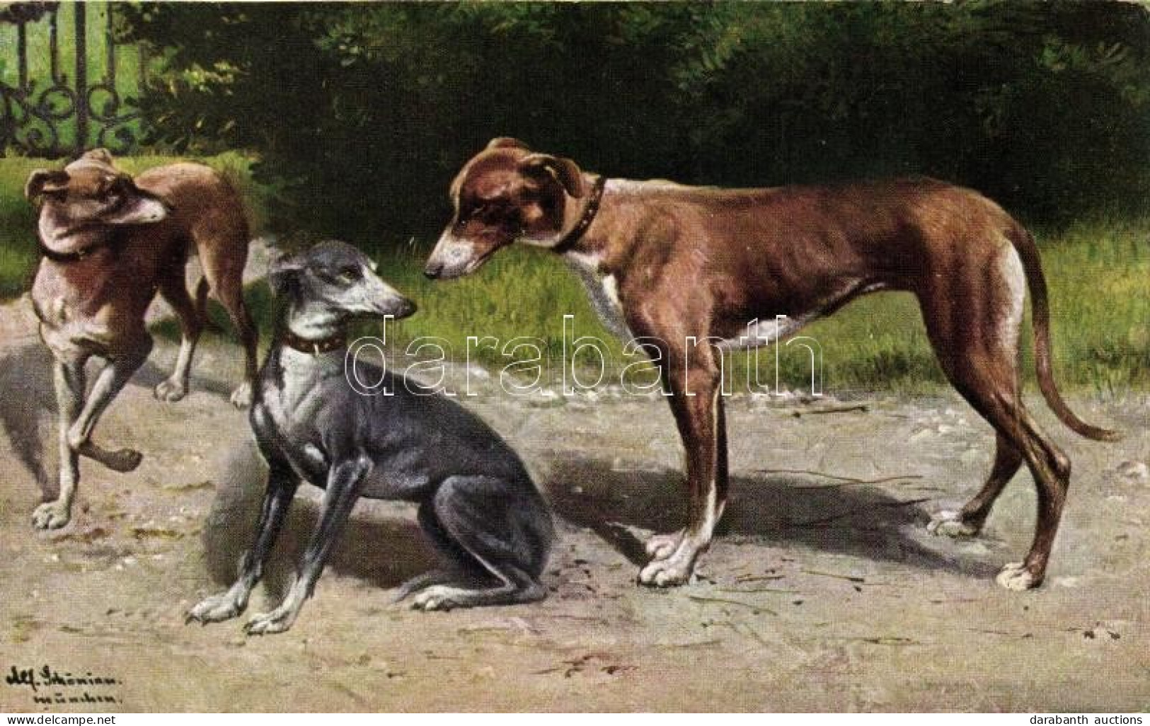 ** T3 Sighthounds, T.S.N. Serie 1823 S: Alfred Schönian (Rb) - Non Classificati