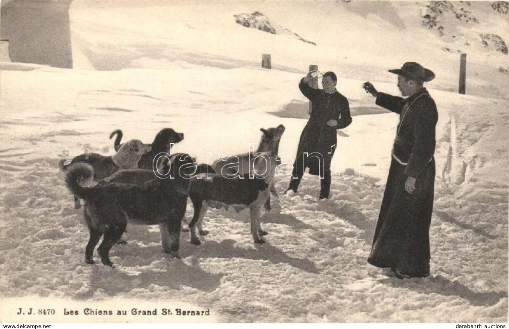 ** T2/T3 Les Chiens Au Grand St. Bernard / Dogs From Great St Bernard Pass (EK) - Non Classificati