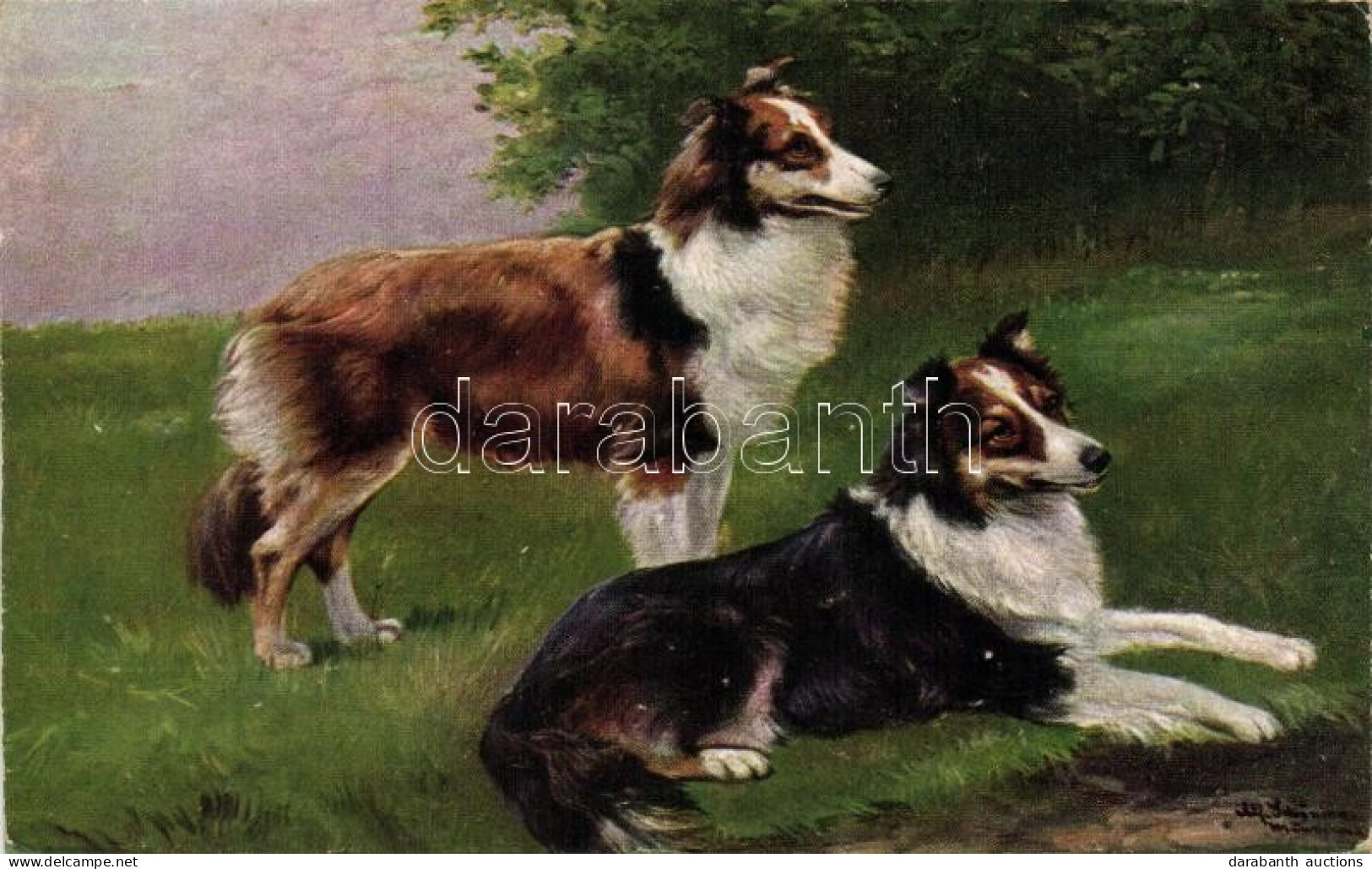 ** T2/T3 Dogs T.S.N. Serie 1823 S: Alfred Schönian - Unclassified