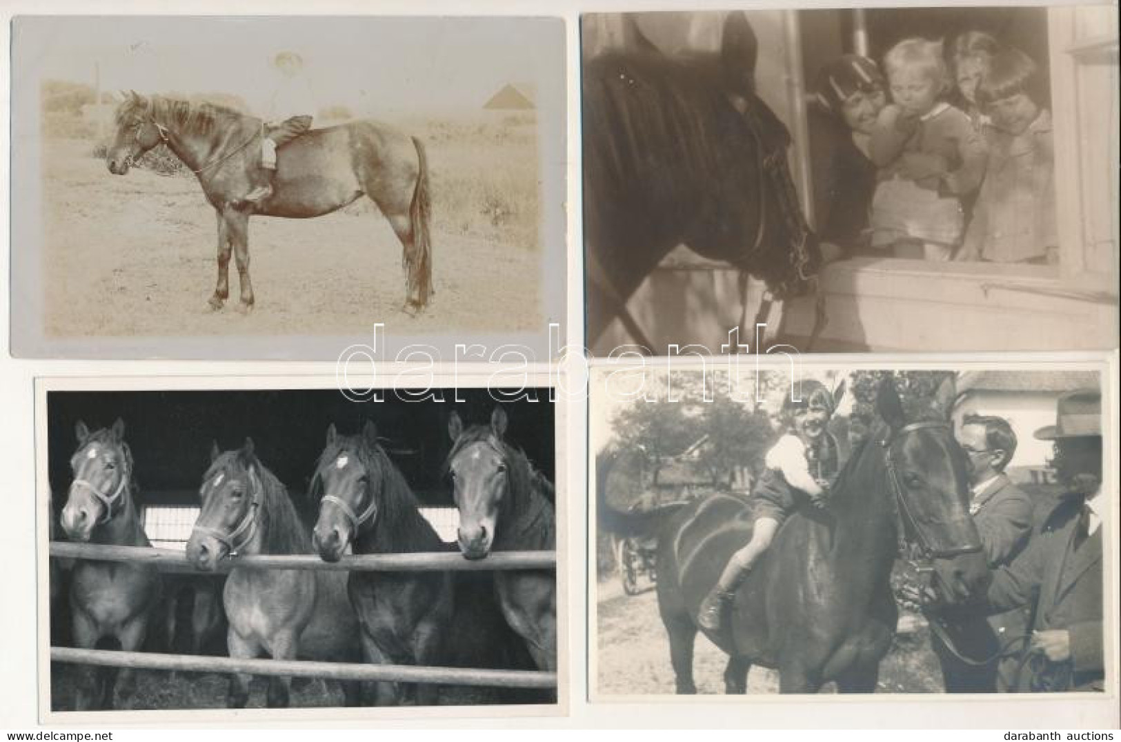 **, * 4 Db RÉGI Fotó Képeslap: Lovak és Gyerekek / 4 Pre-1945 Photo Postcards: Horses And Children - Ohne Zuordnung