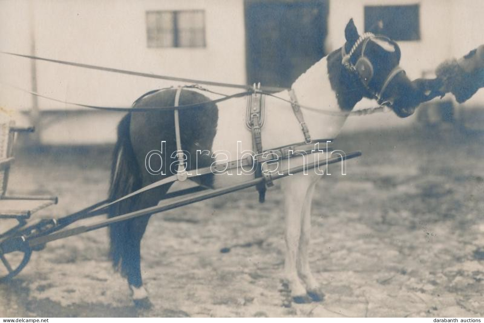 ** T1 Pony-cart, Photo - Ohne Zuordnung