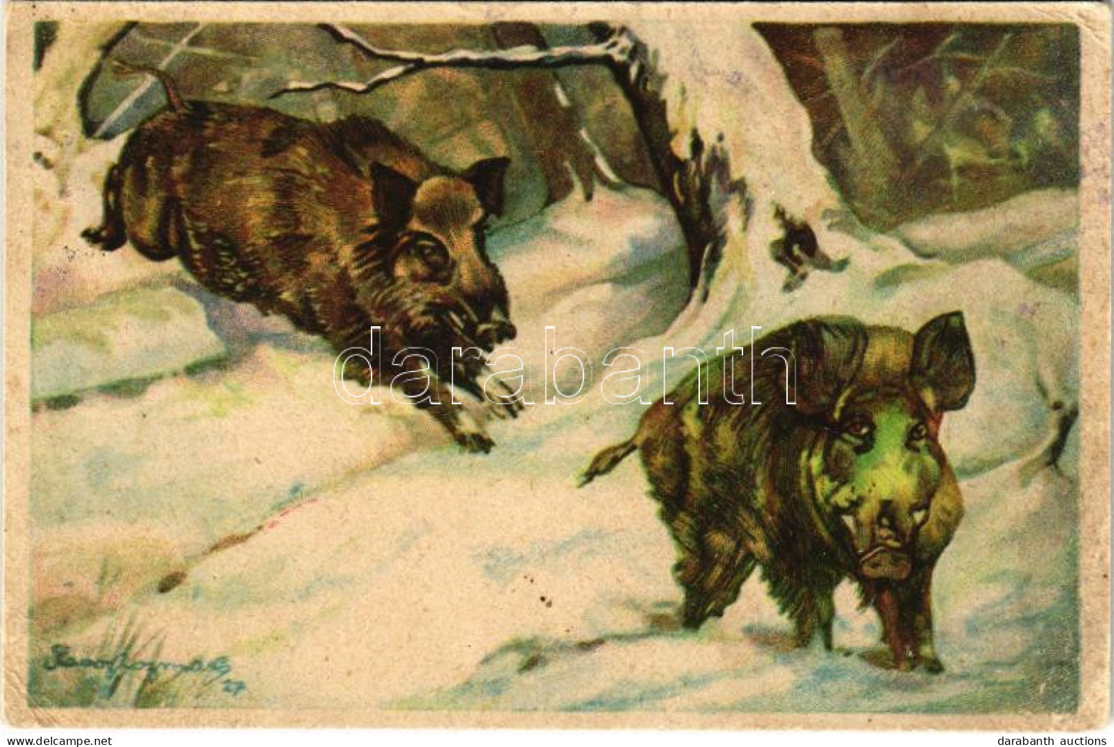 * T3 Vaddisznók / Wild Boars (EB) - Unclassified