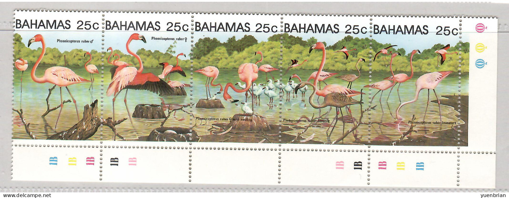 Bahamas 1982, Bird, Bids, Set Of 5v, MNH** - Flamingo's