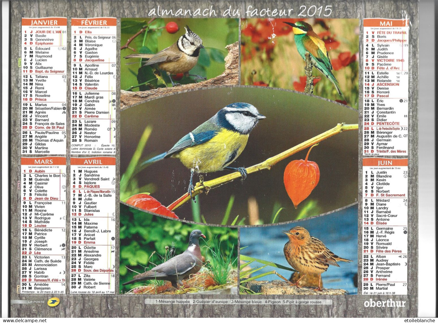 Calendrier 2015 Photos Oiseaux, Mésange Guepier Pipit Bouvreuil Bergeronnette Pinson Cigogne Rouge-gorge - Formato Grande : 2001-...