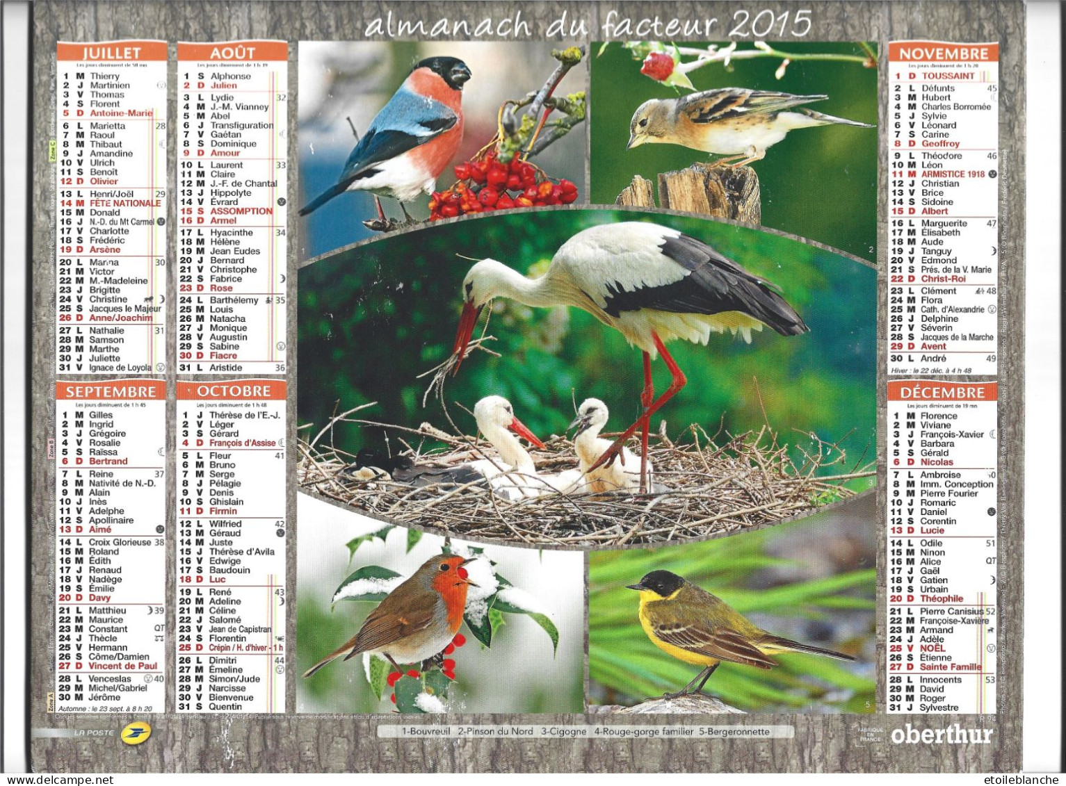 Calendrier 2015 Photos Oiseaux, Mésange Guepier Pipit Bouvreuil Bergeronnette Pinson Cigogne Rouge-gorge - Grossformat : 2001-...