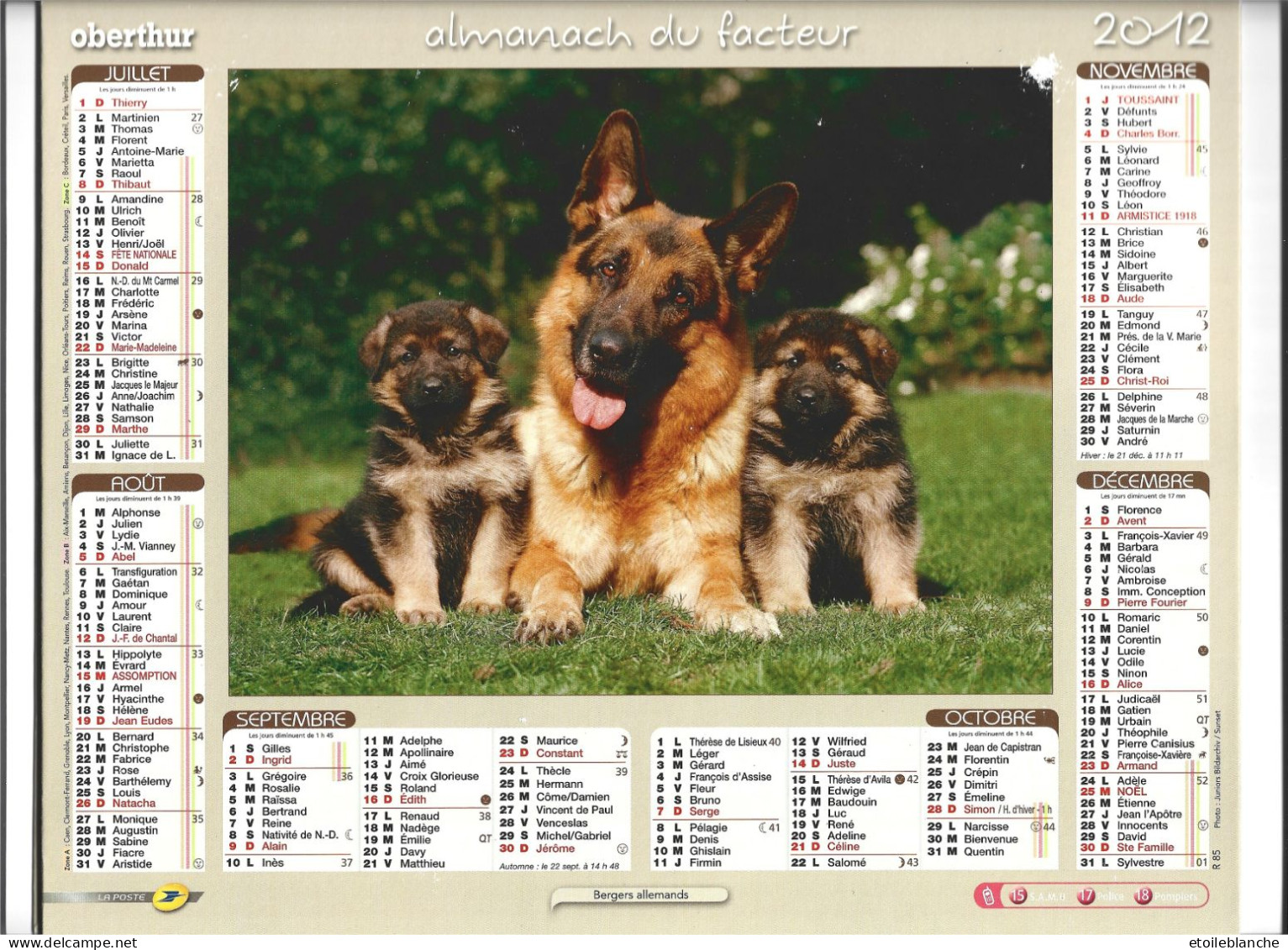 Calendrier 2012 Photos, Chiens, Famille Bergers Allemands, Chiots - Beau Golden Retriever, Paysage Enneigé - Grand Format : 2001-...