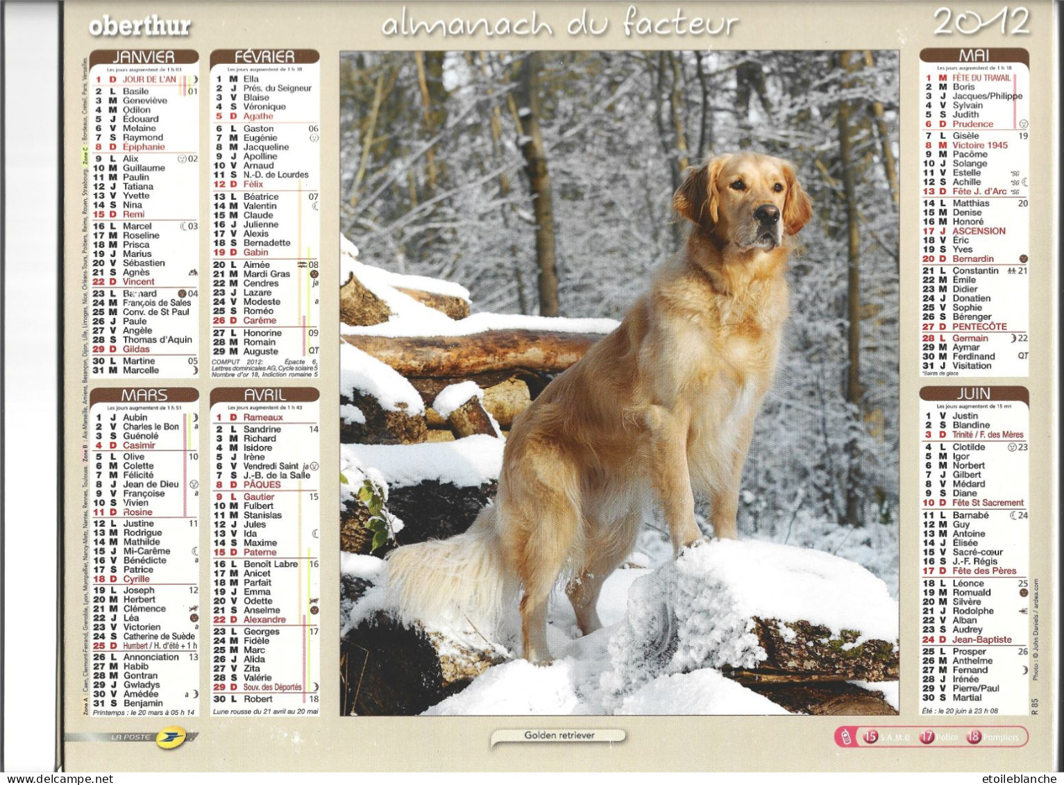 Calendrier 2012 Photos, Chiens, Famille Bergers Allemands, Chiots - Beau Golden Retriever, Paysage Enneigé - Big : 2001-...