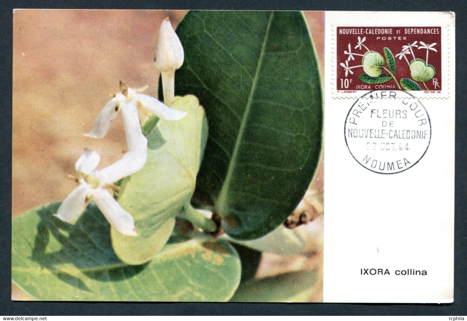 RC 26774 NOUVELLE CALEDONIE 1964 FLORE IXORA COLLINA CARTE MAXIMUM - Cartoline Maximum