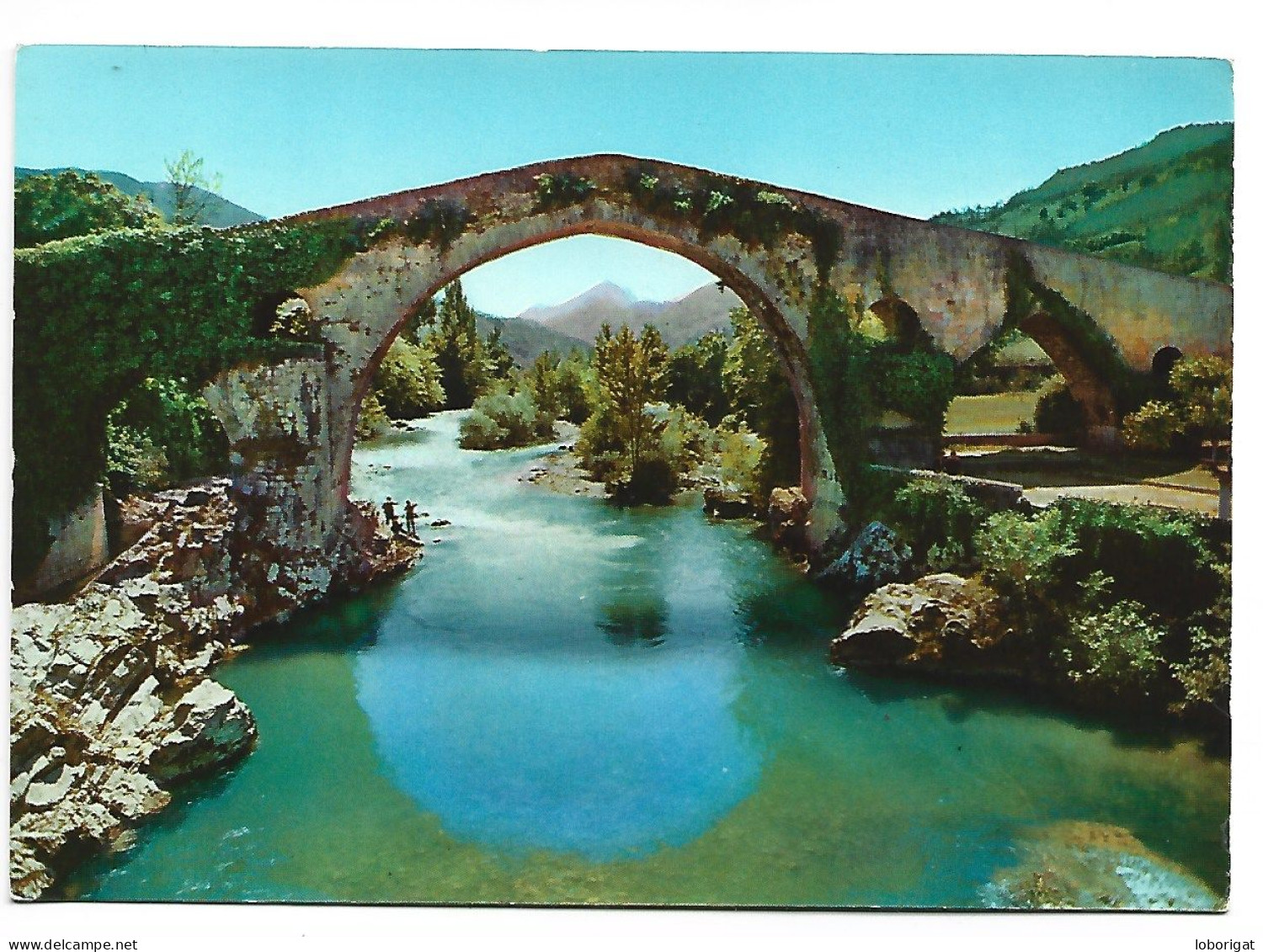 PUENTE ROMANO / PONT ROMAIN / ROMAN BRIDGE.-  CANGAS DE ONIS / ASTURIAS .- ( ESPAÑA) - Asturias (Oviedo)