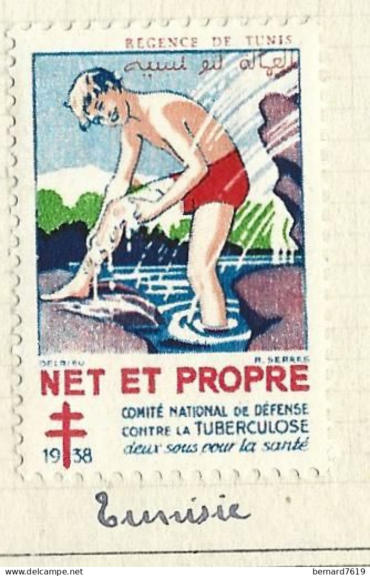 Timbre   France- - Croix Rouge - Erinnophilie -comIte National De Defense  La Tuberculose - 1938- Net Et Propre  Tunisie - Antituberculeux