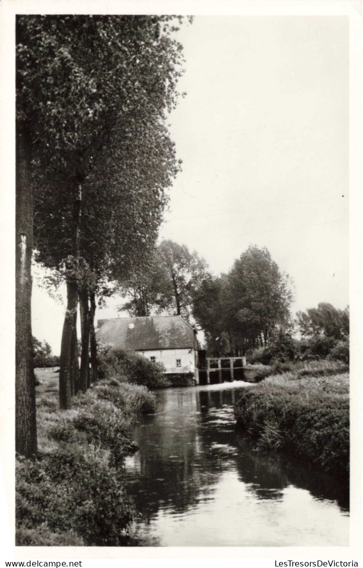 BELGIQUE - Kuringen - Demermolen Te Kuringen - Carte Postale Ancienne - Hasselt