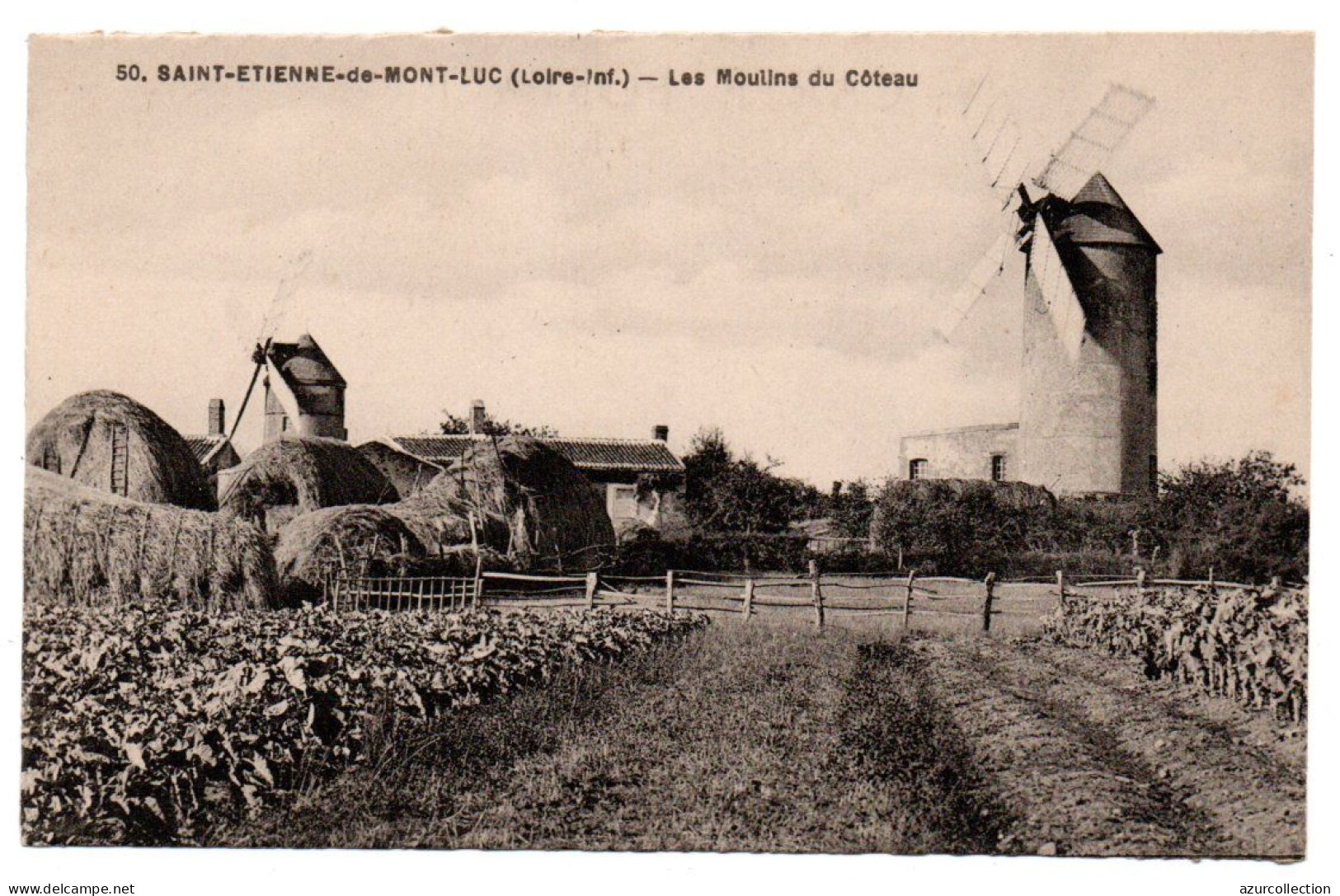 Les Moulins Du Côteau - Saint Etienne De Montluc