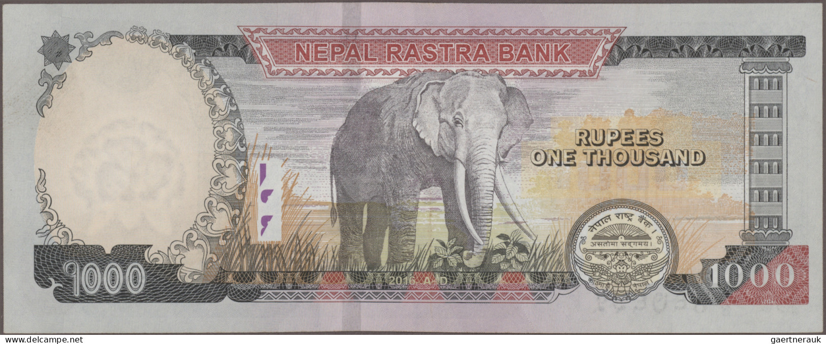 Nepal: Nepal Rastra Bank, Giant Lot With 50 Banknotes, 1981-2016 Series, Compris - Népal