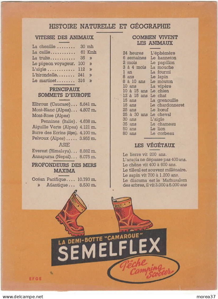 PROTEGE CAHIER  SEMELFLEX St BERNARD - Shoes