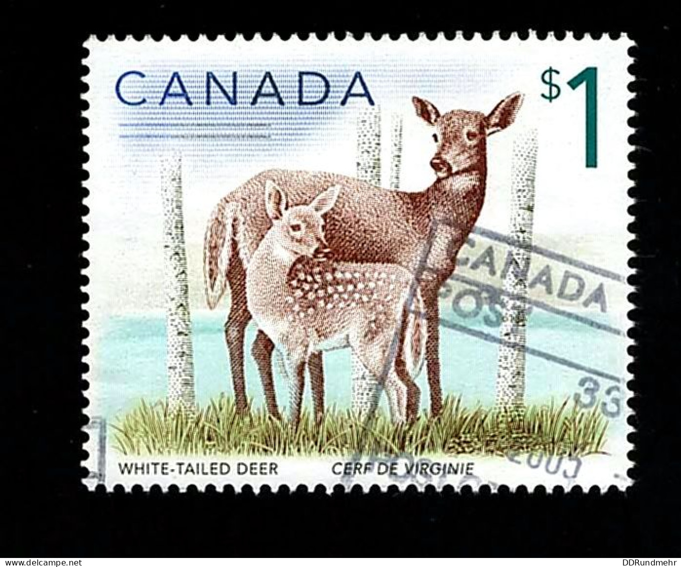 2005 Deer Michel CA 2299 Stamp Number CA 1688 Yvert Et Tellier CA 2182 Stanley Gibbons CA 1757 Used - Oblitérés