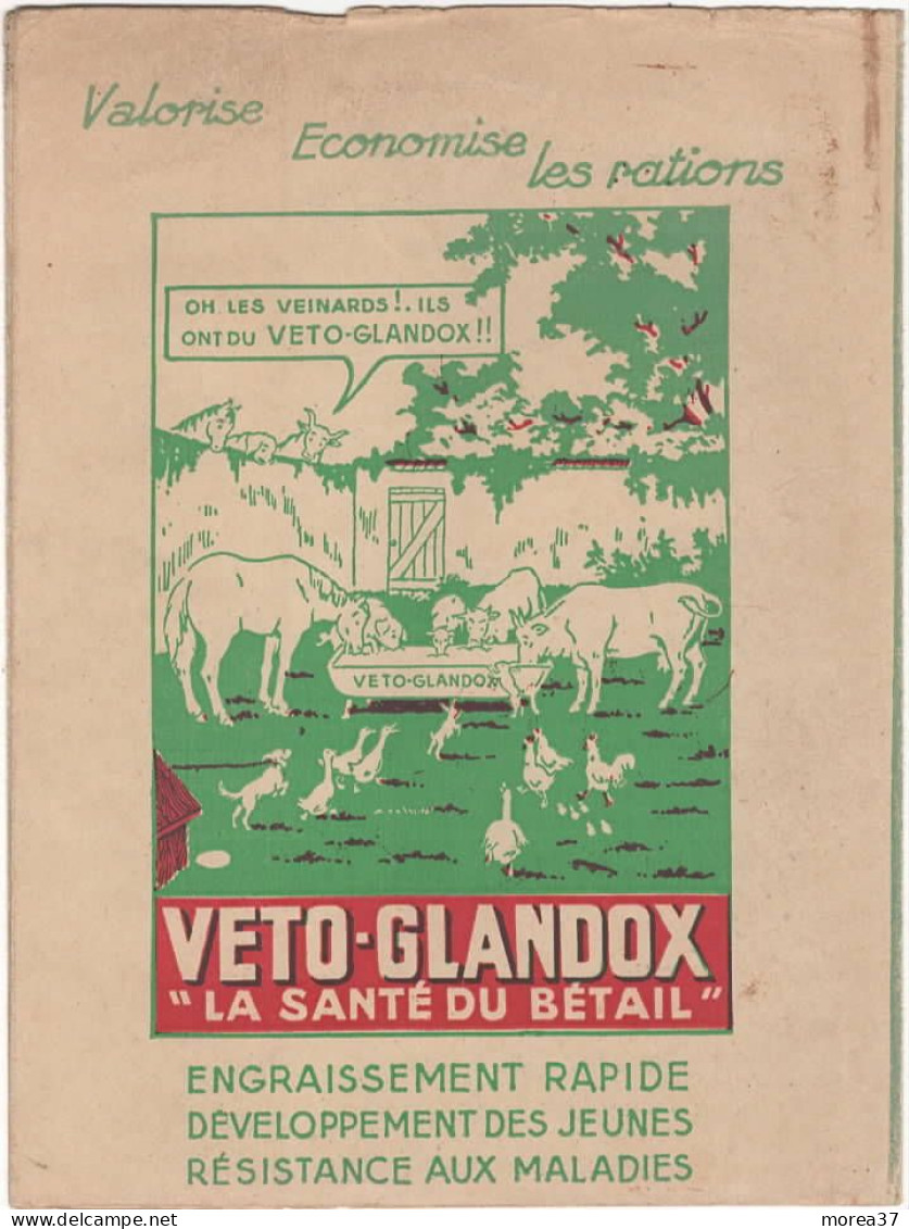 PROTEGE CAHIER   VETO GLANDOX - Produits Pharmaceutiques