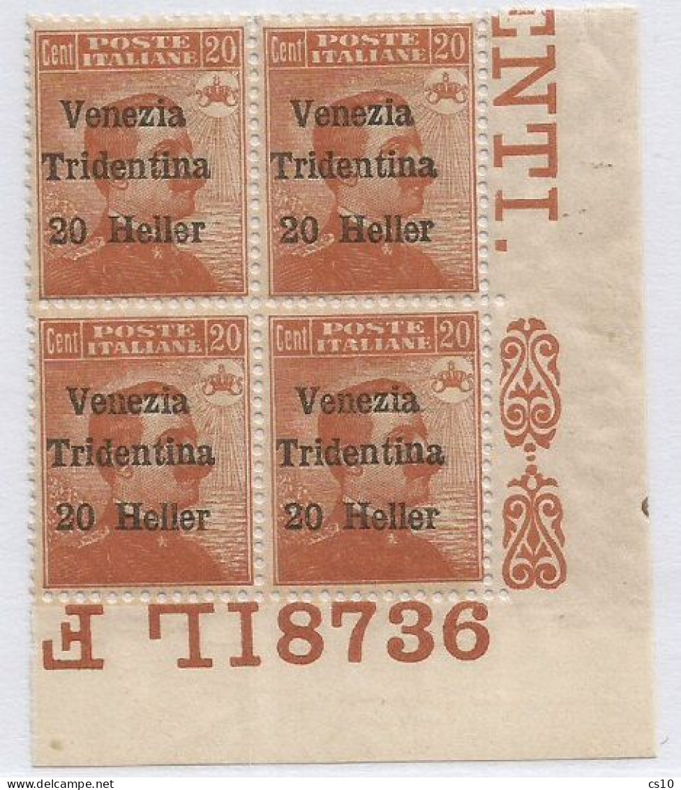 Terre Redente 1919 Trentino Venezia Tridentina H.20 Su Michetti C.20 MNH** Quartina Angolo Foglio + N° Tavola 8736 - Trente