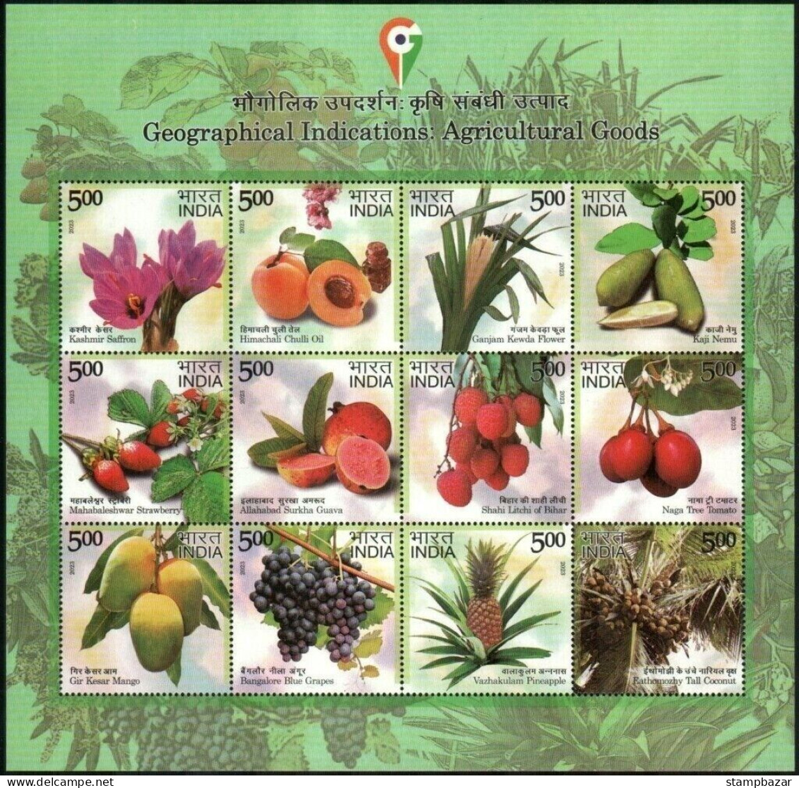 India 2023 Complete Year Set Of Miniature Sheets Birds 11v Various Themes - Full Years