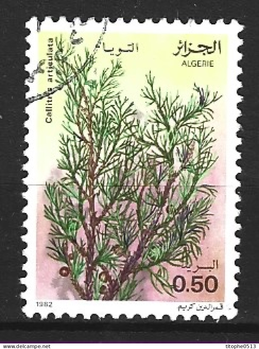 ALGERIE. N°762 Oblitéré De 1982. Plante Médicinale. - Heilpflanzen