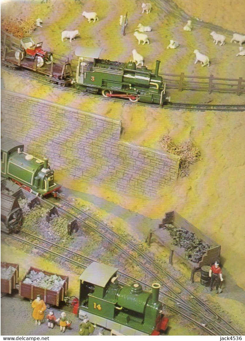 Histoire Illustrée Des TRAINS MINIATURES - Editions PRINCESSE - 192 Pages - Bahnwesen & Tramways