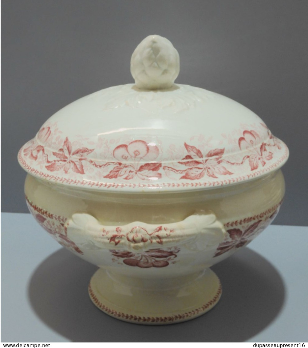 -SOUPIERE BADONVILLER Modèle CERISES  DEMI PORCELAINE JUS De GRENIER Déco    E - Badonviller (FRA)