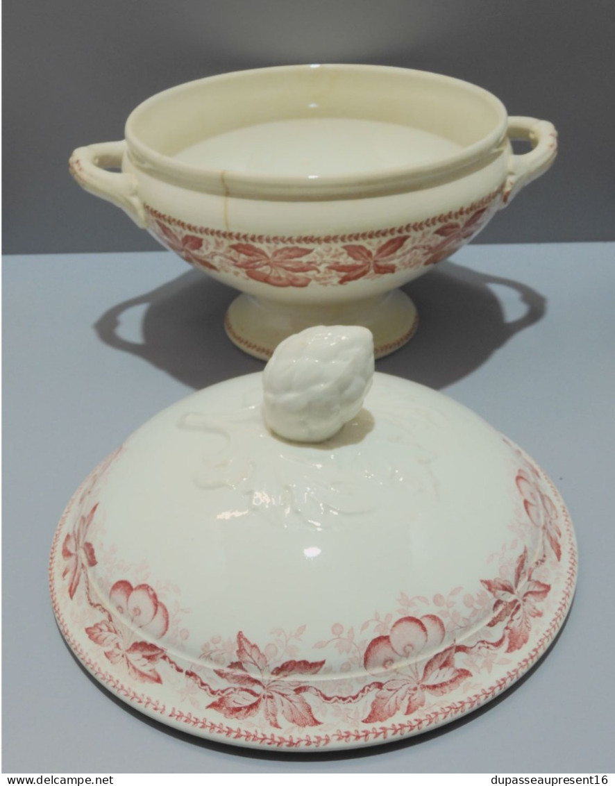 -SOUPIERE BADONVILLER Modèle CERISES  DEMI PORCELAINE JUS De GRENIER Déco    E - Badonviller (FRA)