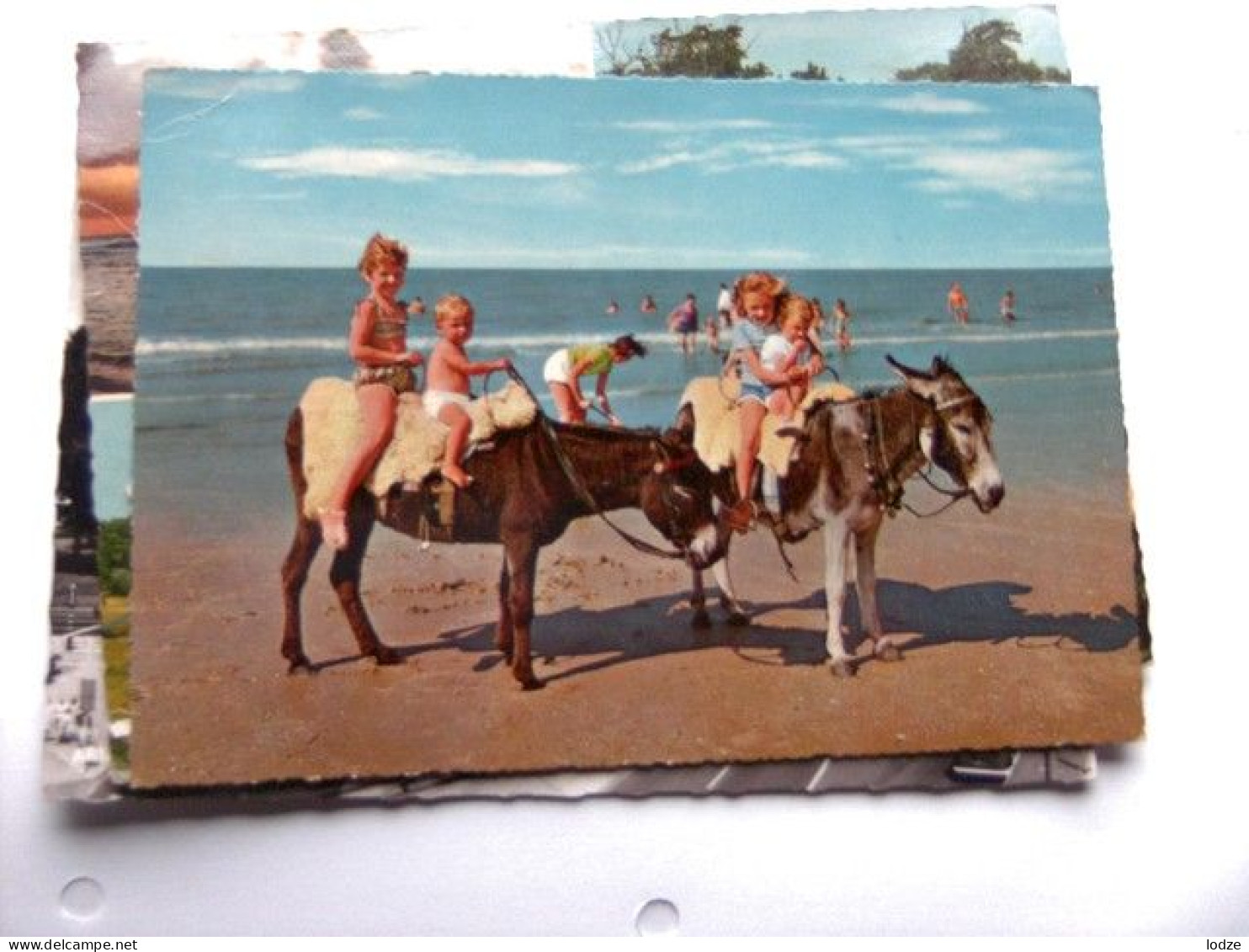 Nederland Holland Pays Bas Scheveningen Ezeltje Rijden Op Het Strand - Scheveningen