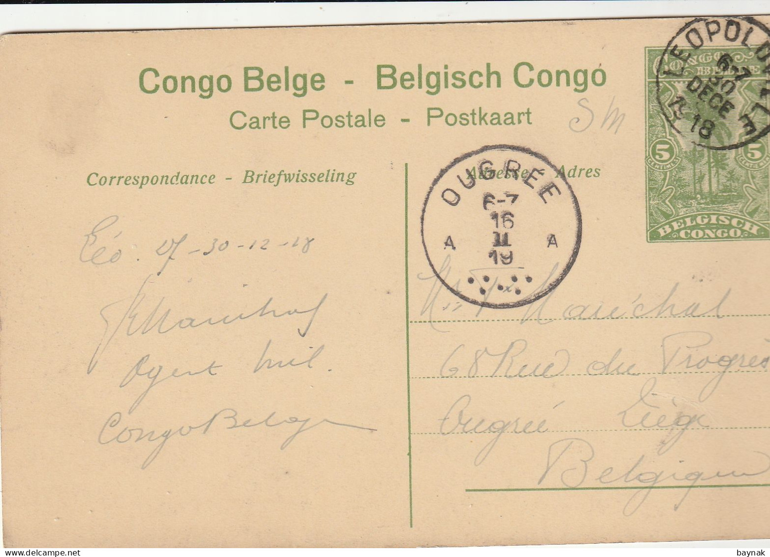 BELG338  --  CONGO BELGE  --  DRAGONNIER PRES DE MOPOLENGE --  1919 - Congo Belge