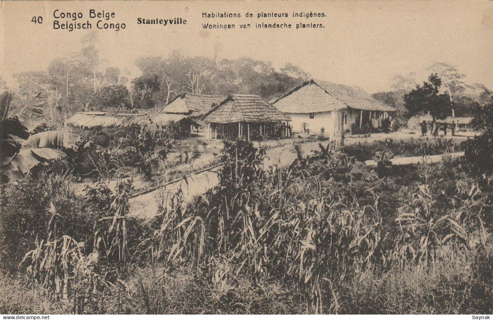 BELG340   --  CONGO BELGE  --  STANLEYVILLE  --  HABITATIONS DE PLANTEURS INDIGENES  --  1919 - Congo Belge