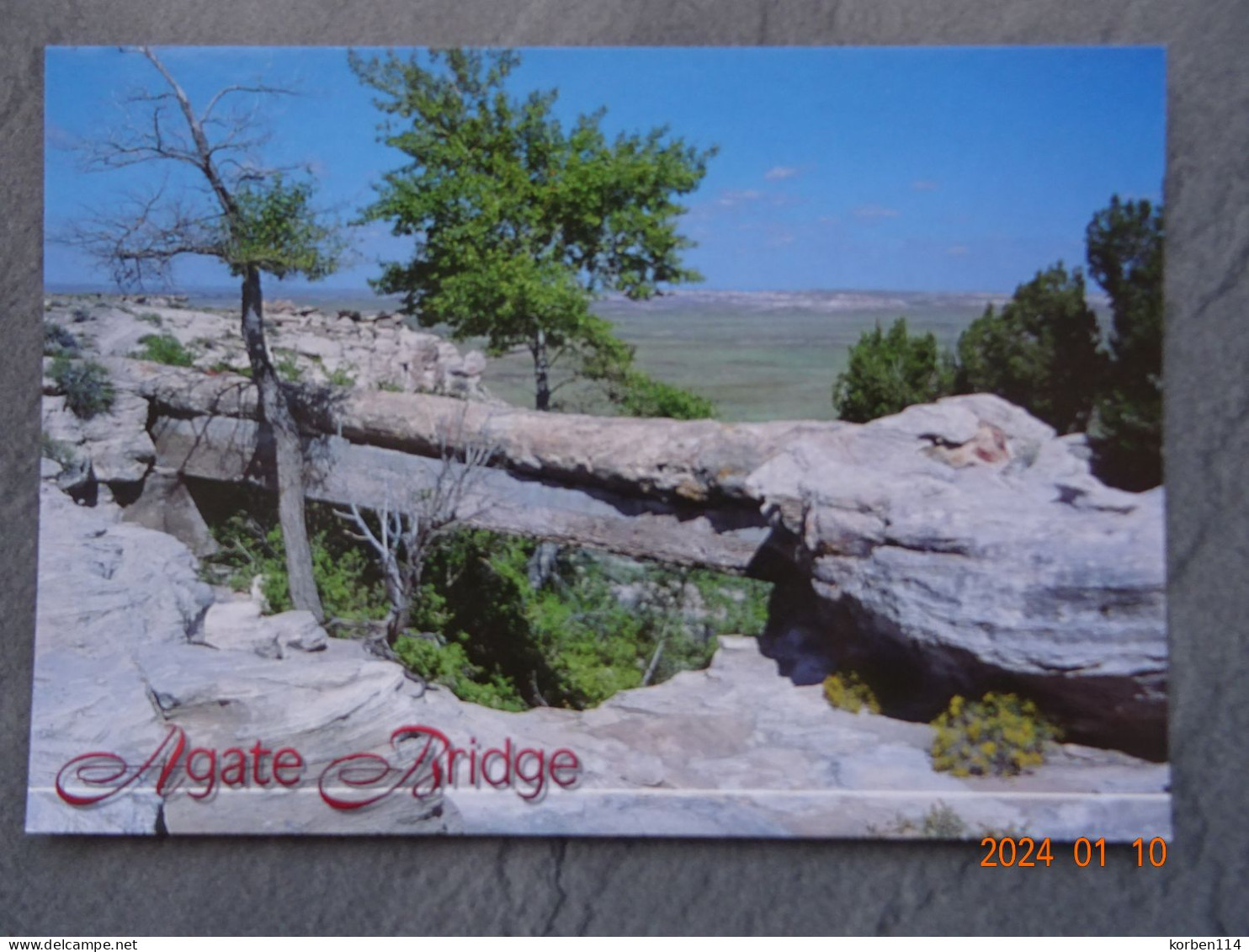 AGATE BRIDE  PETRIFIED FOREST NATIONAL PARK - Other & Unclassified