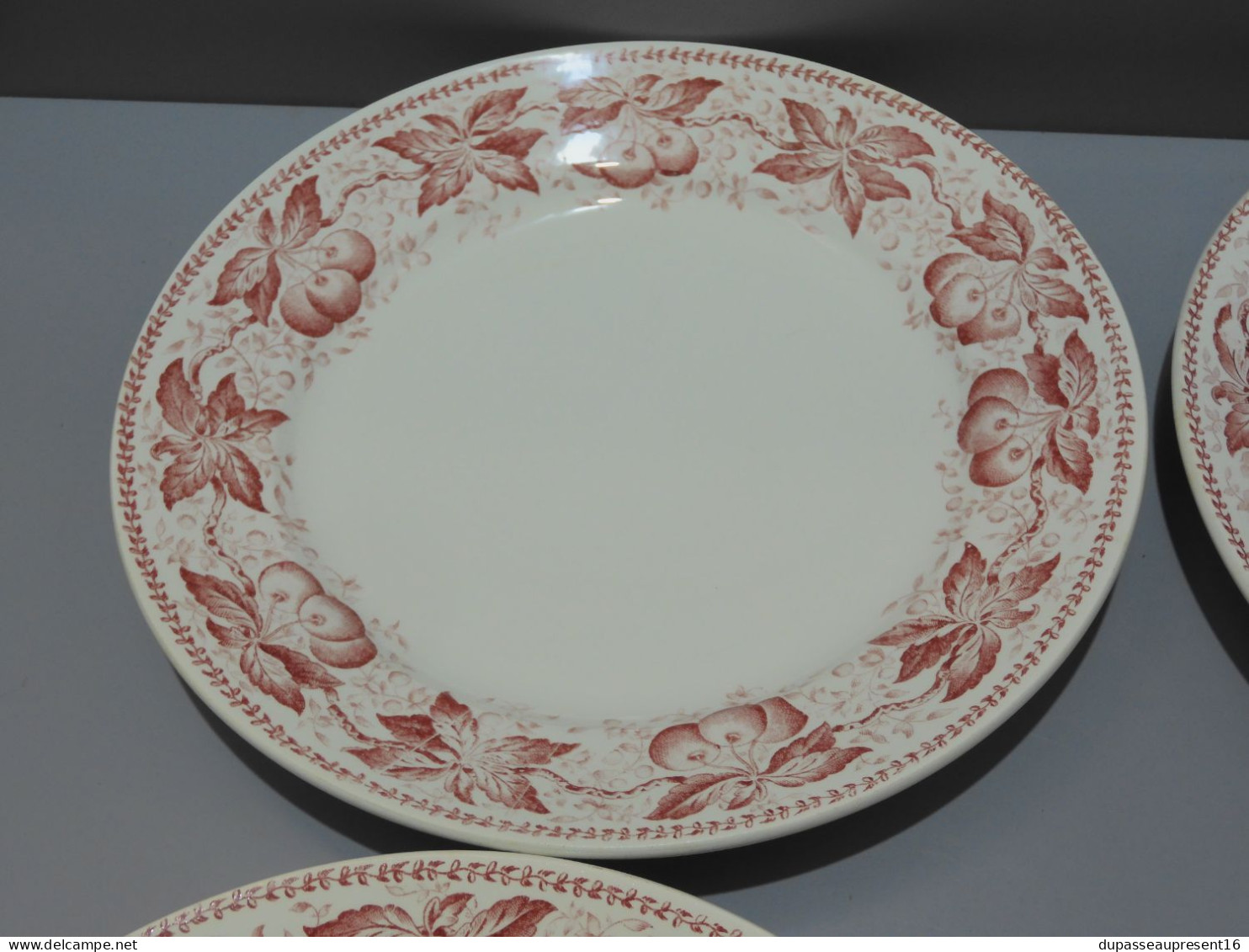 -5 ASSIETTES PLATES DEMI PORCELAINE BADONVILLER Modèle CERISES Table  E - Badonviller (FRA)