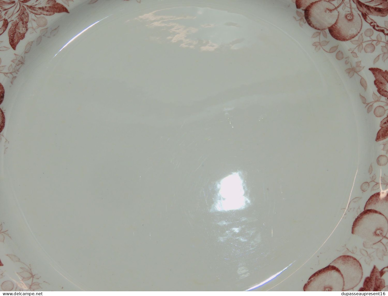 -5 ASSIETTES PLATES DEMI PORCELAINE BADONVILLER modèle CERISES Table  E