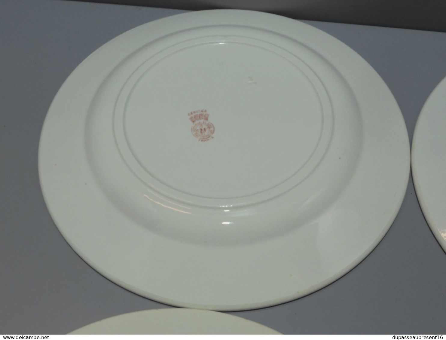 -5 ASSIETTES PLATES DEMI PORCELAINE BADONVILLER modèle CERISES Table  E