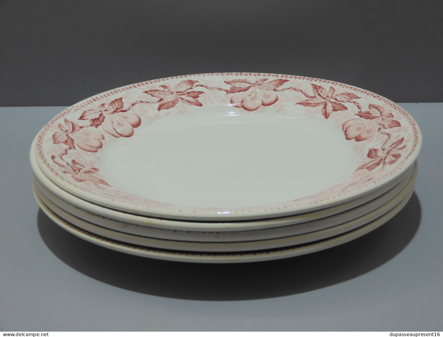 -5 ASSIETTES PLATES DEMI PORCELAINE BADONVILLER modèle CERISES Table  E