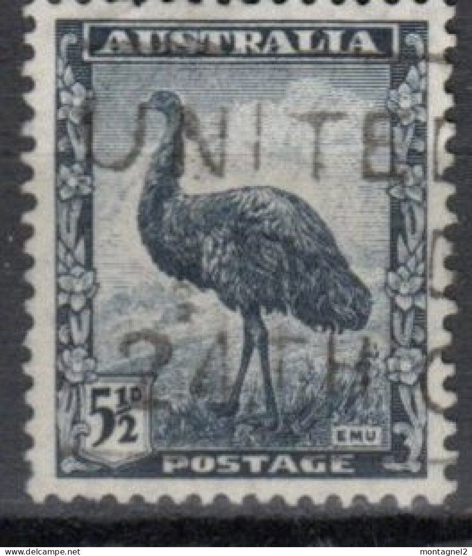 AUSTRALIE N°135 Oblitéré - Struisvogels