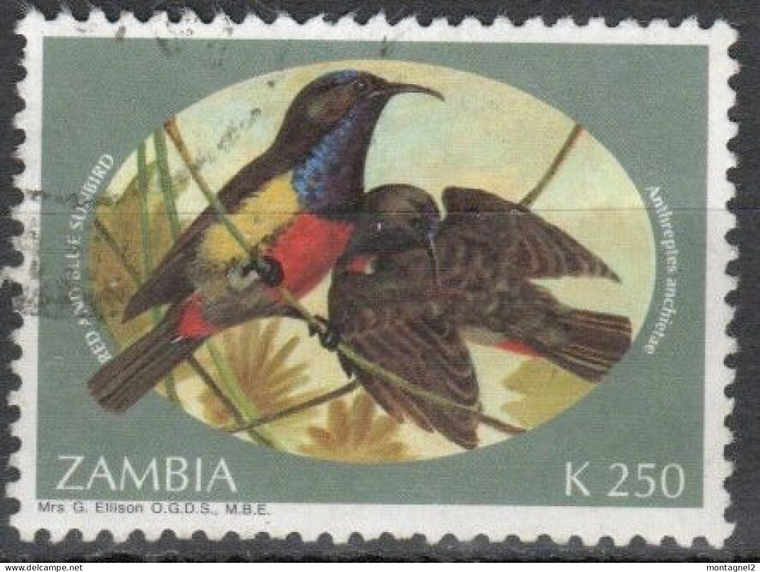 ZAMBIE N°287 Oblitéré - Kolibries