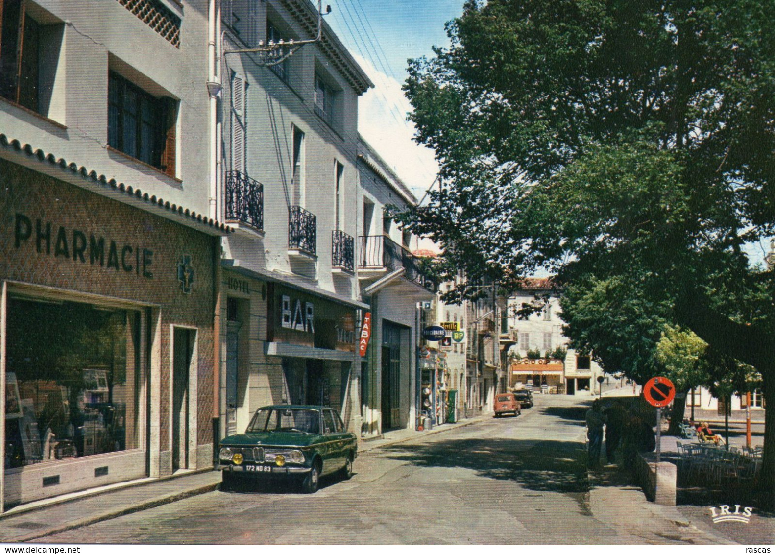 CPM - K - VAR - MONTAUROUX - LA RUE CAMILLE BLANC - Montauroux