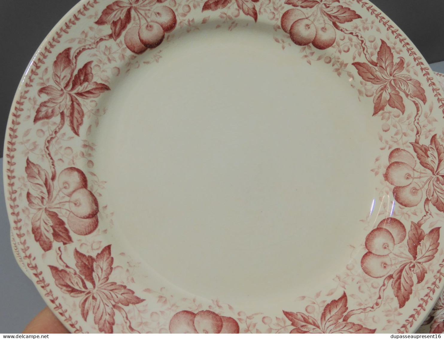 -5 ASSIETTES PLATES DEMI PORCELAINE BADONVILLER Modèle CERISES Table  E - Badonviller (FRA)